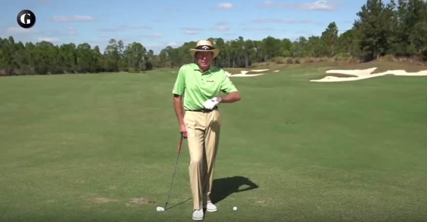 David Leadbetter