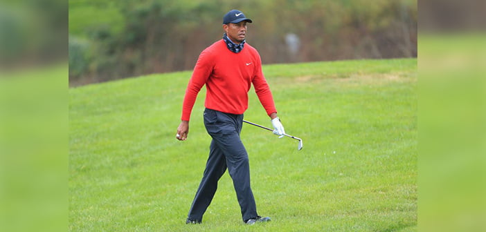 Surgery puts Tiger out of action