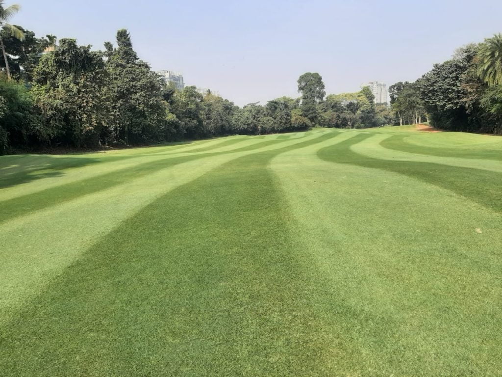 Shining fairways at Tollygunge